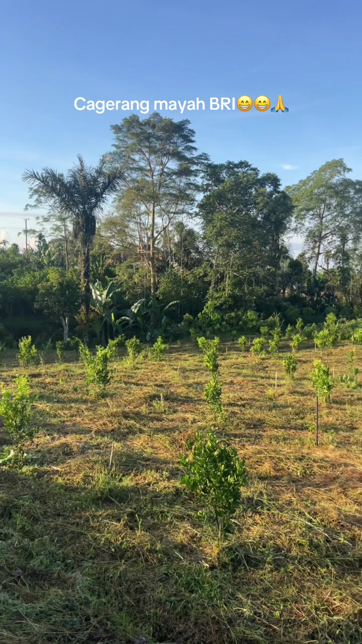 @Anakpetani🍊