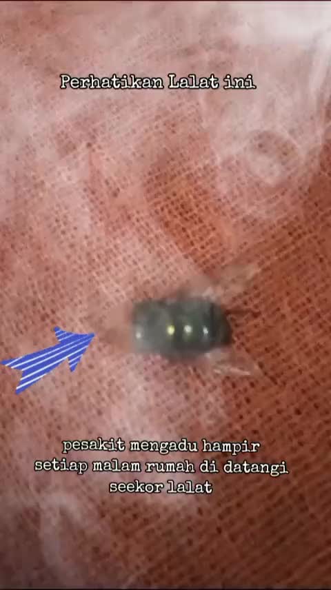 @عالم ميستري