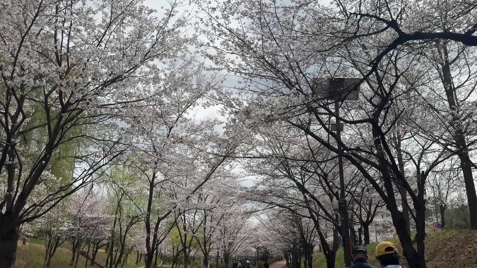 @Joychwe🇵🇭🇰🇷