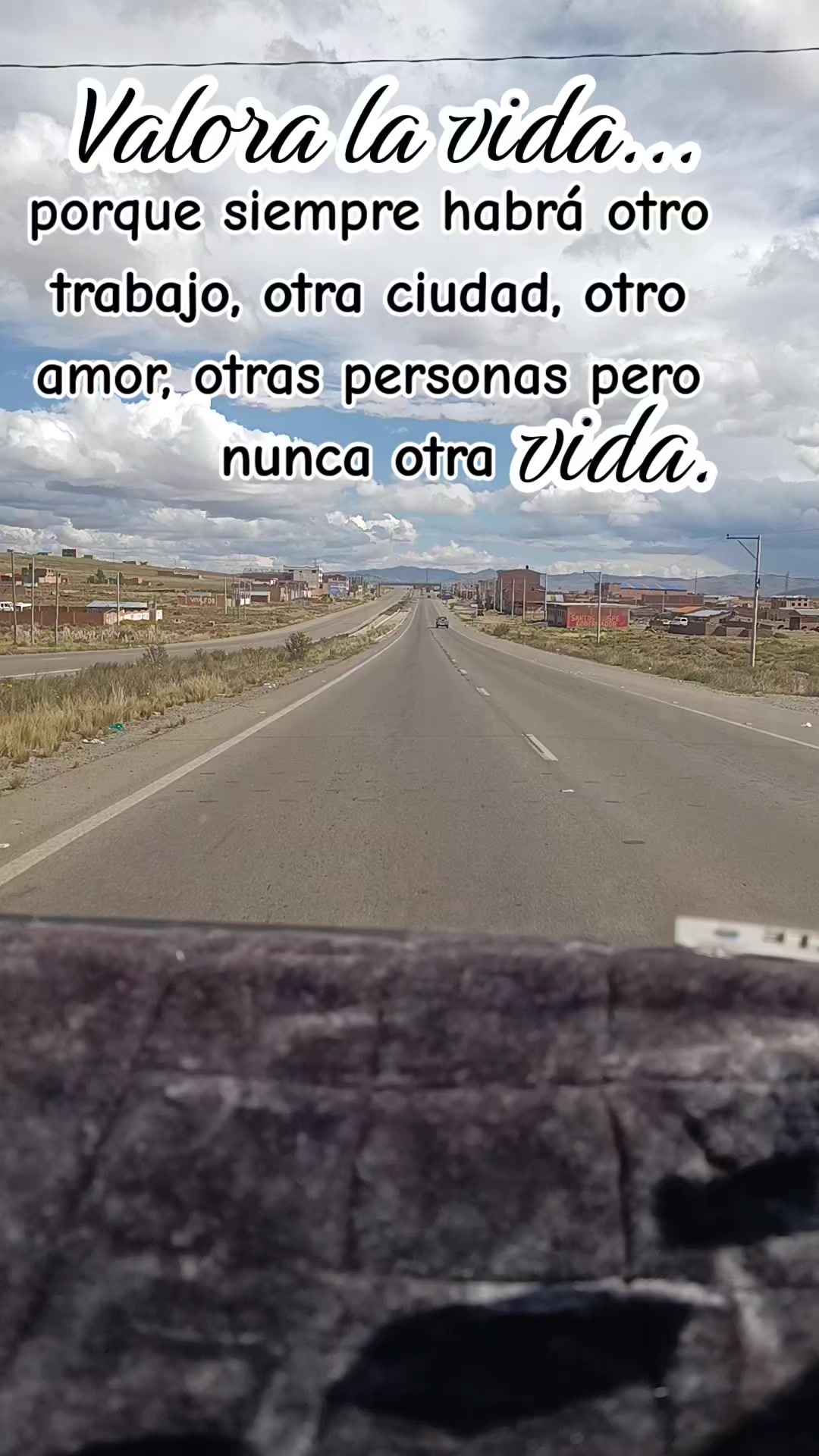 @yolisabel
