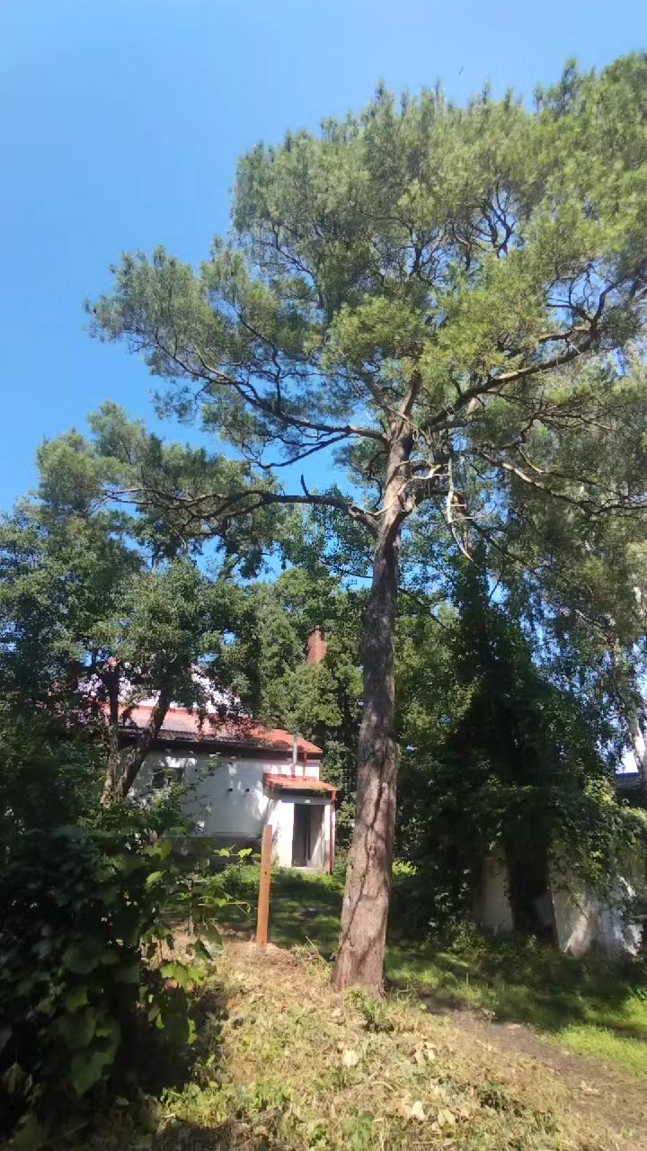 @кувалда