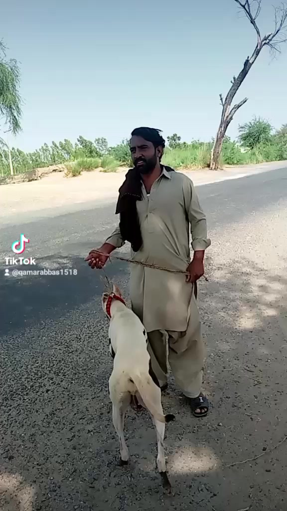 @QAmAR abbas