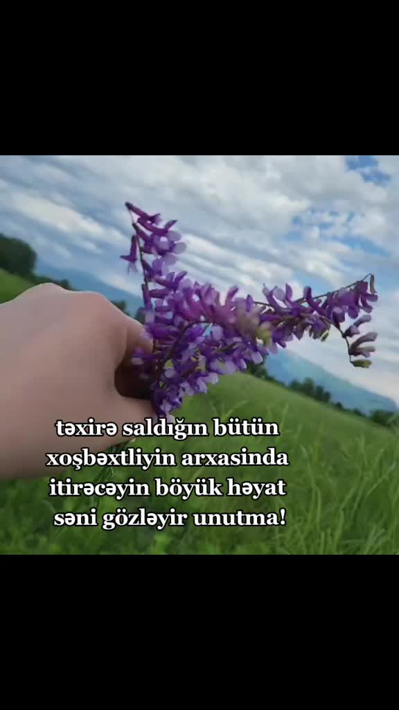 @vardis_bibila♡
