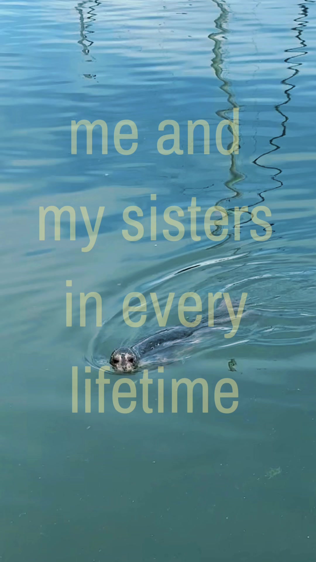 @sabrina olaso ❀