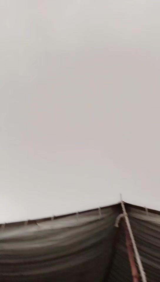 @꧁༺محسن جانی༻꧂