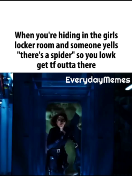 @EverydayMemes