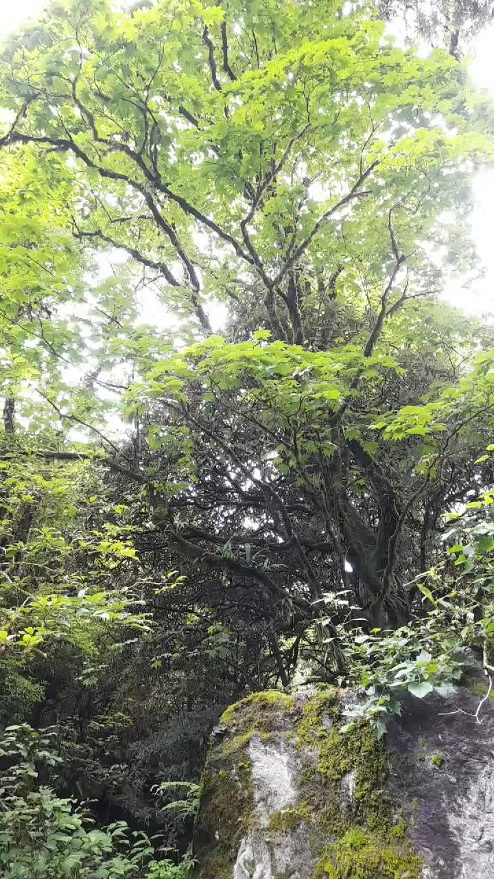 @Kale🦋