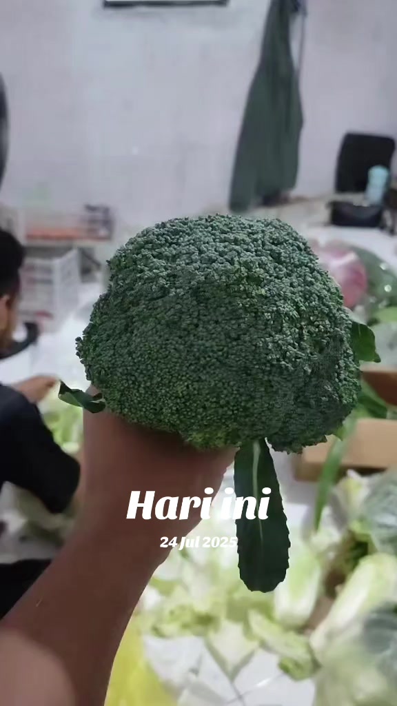 @supplier sayur dan buah sby