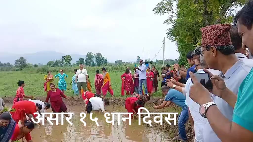 @Ishwari