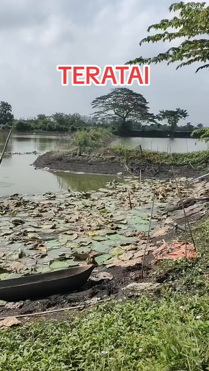 @SuryaGemilang