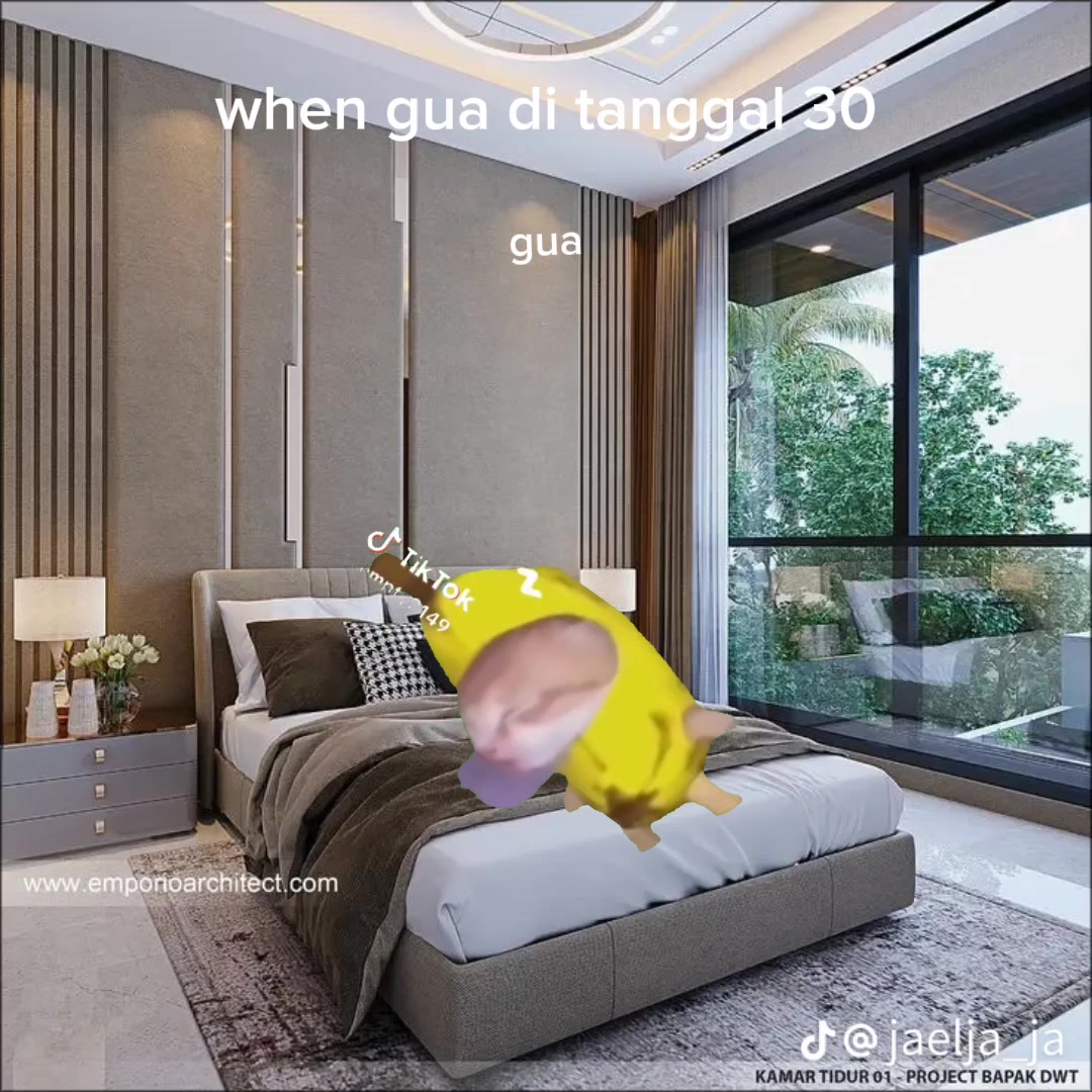 @aelanaaa