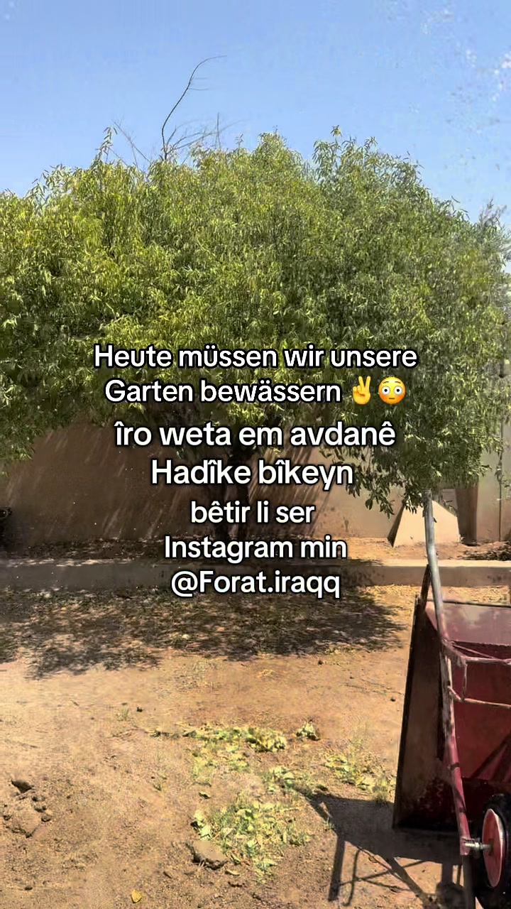 @Firat.ae 𒀭