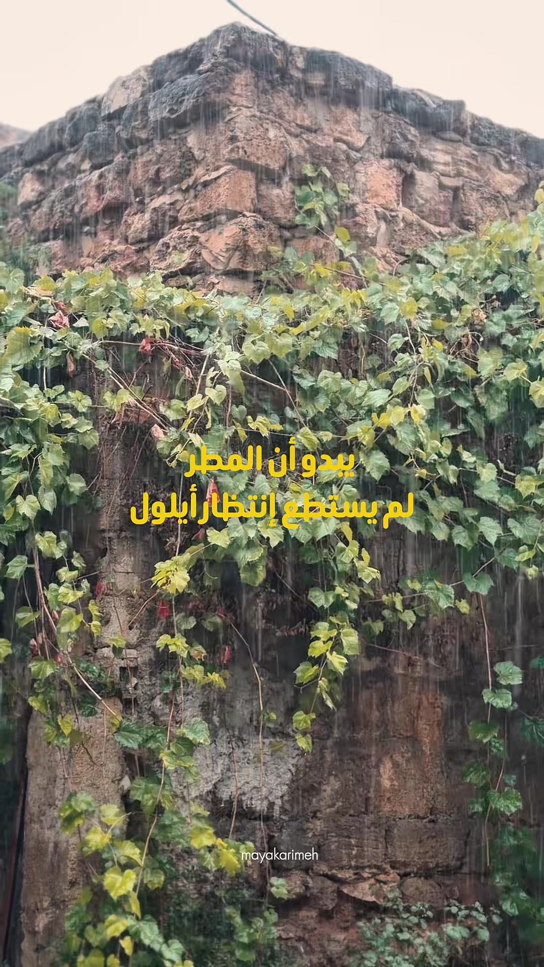 @MAYA O. Karimeh