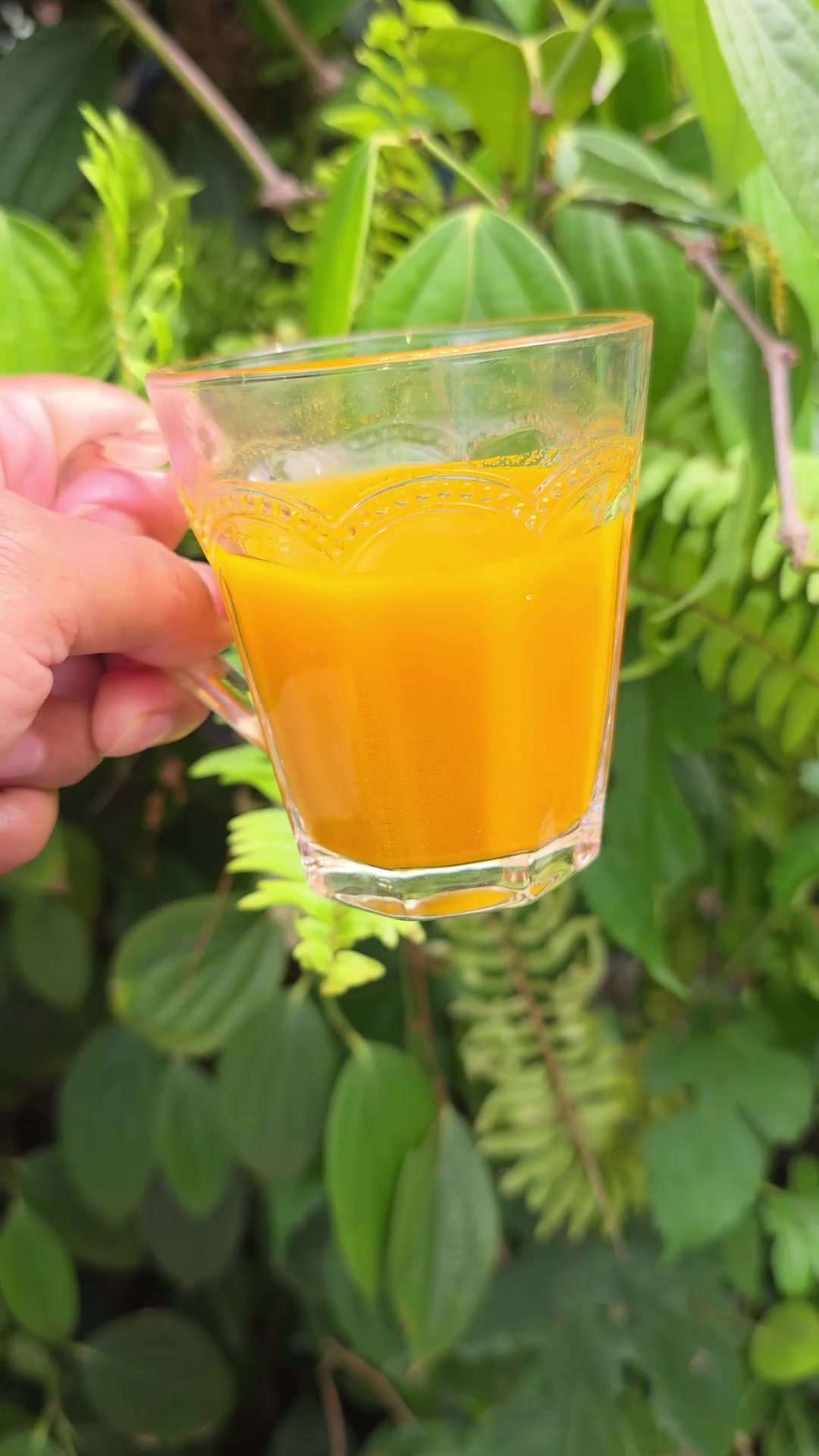 @Dicas e Receitas Naturais
