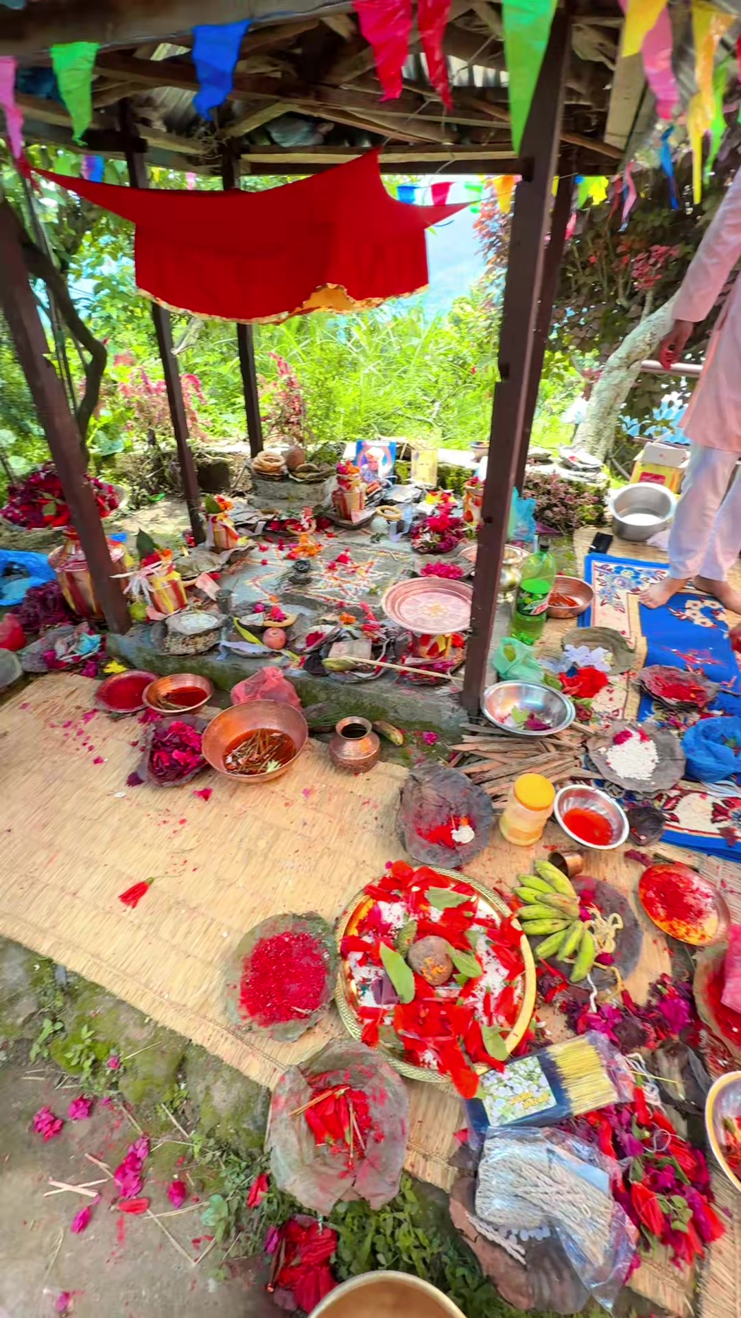 @shobeequeen2
