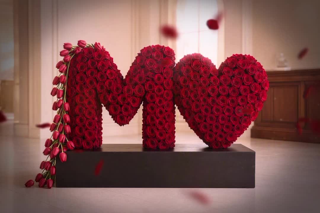 @Melik6564