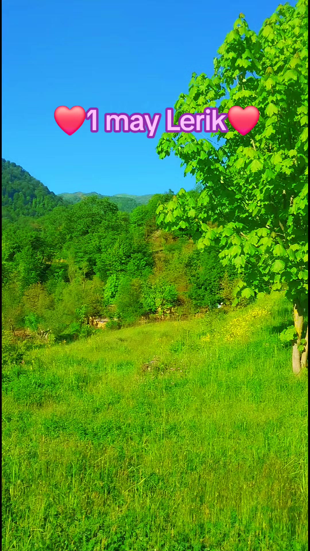 @Lerik_şəlaləyə_Taksi