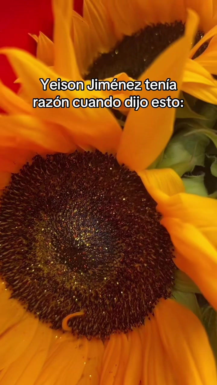 @Andreina internacional