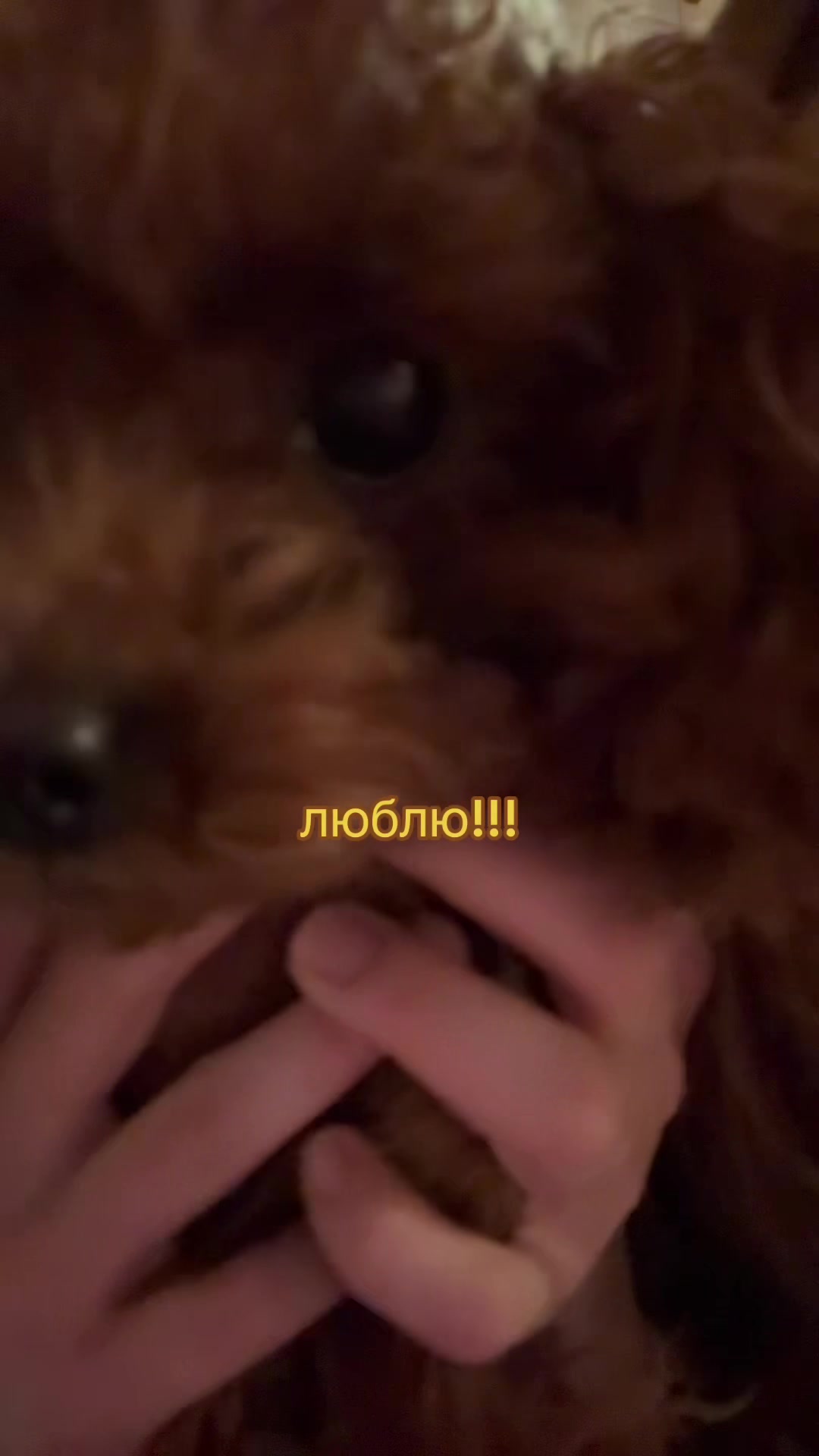 @лизка твикс