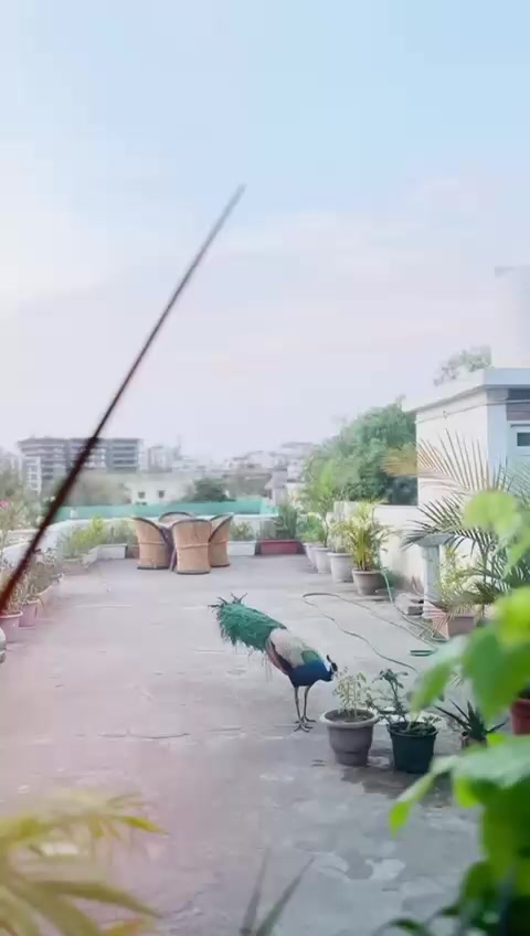 @LaXMAN Singh