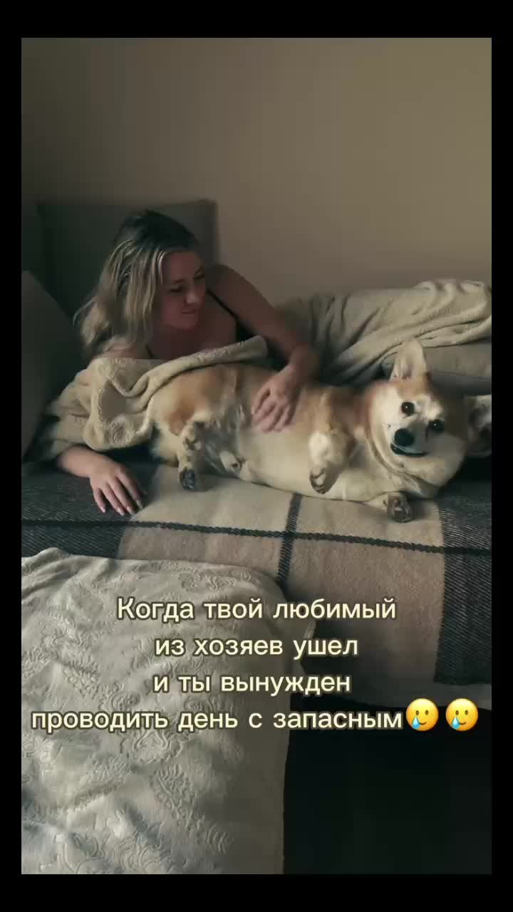 @Даруля