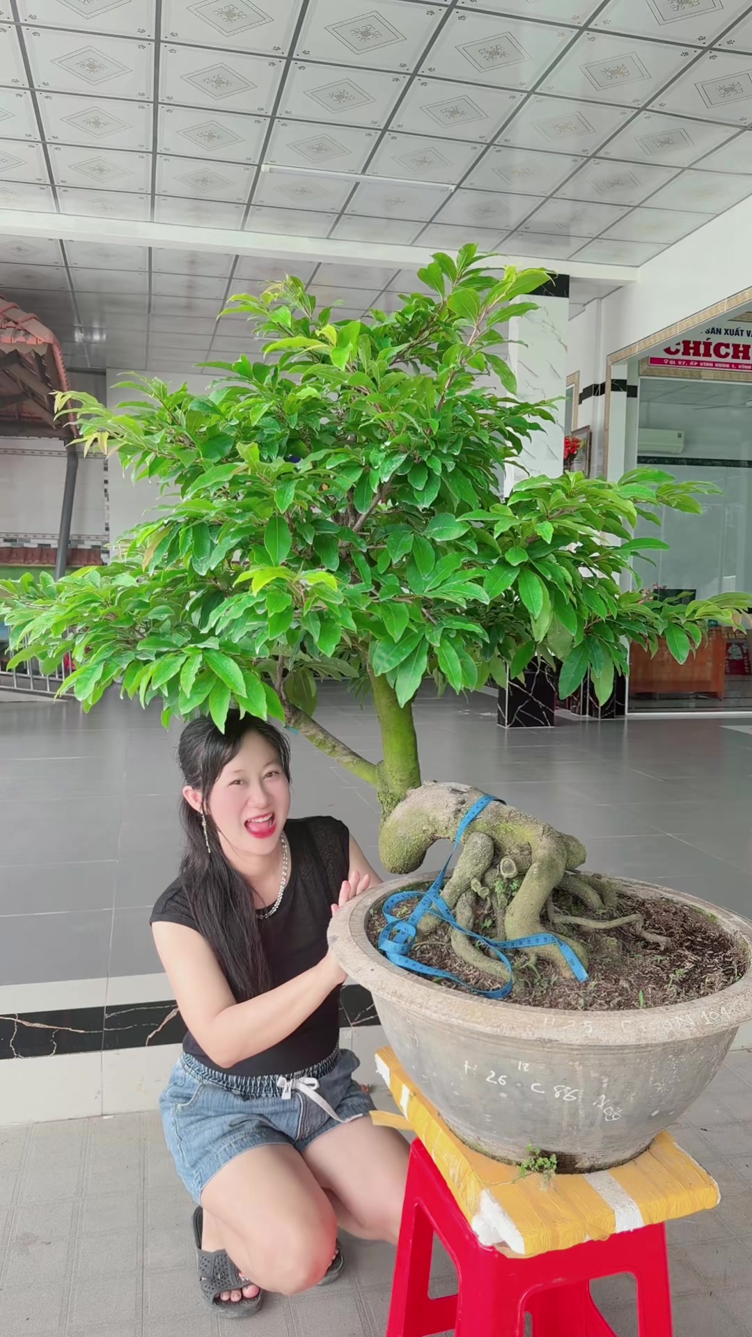 @Chichchoebong79