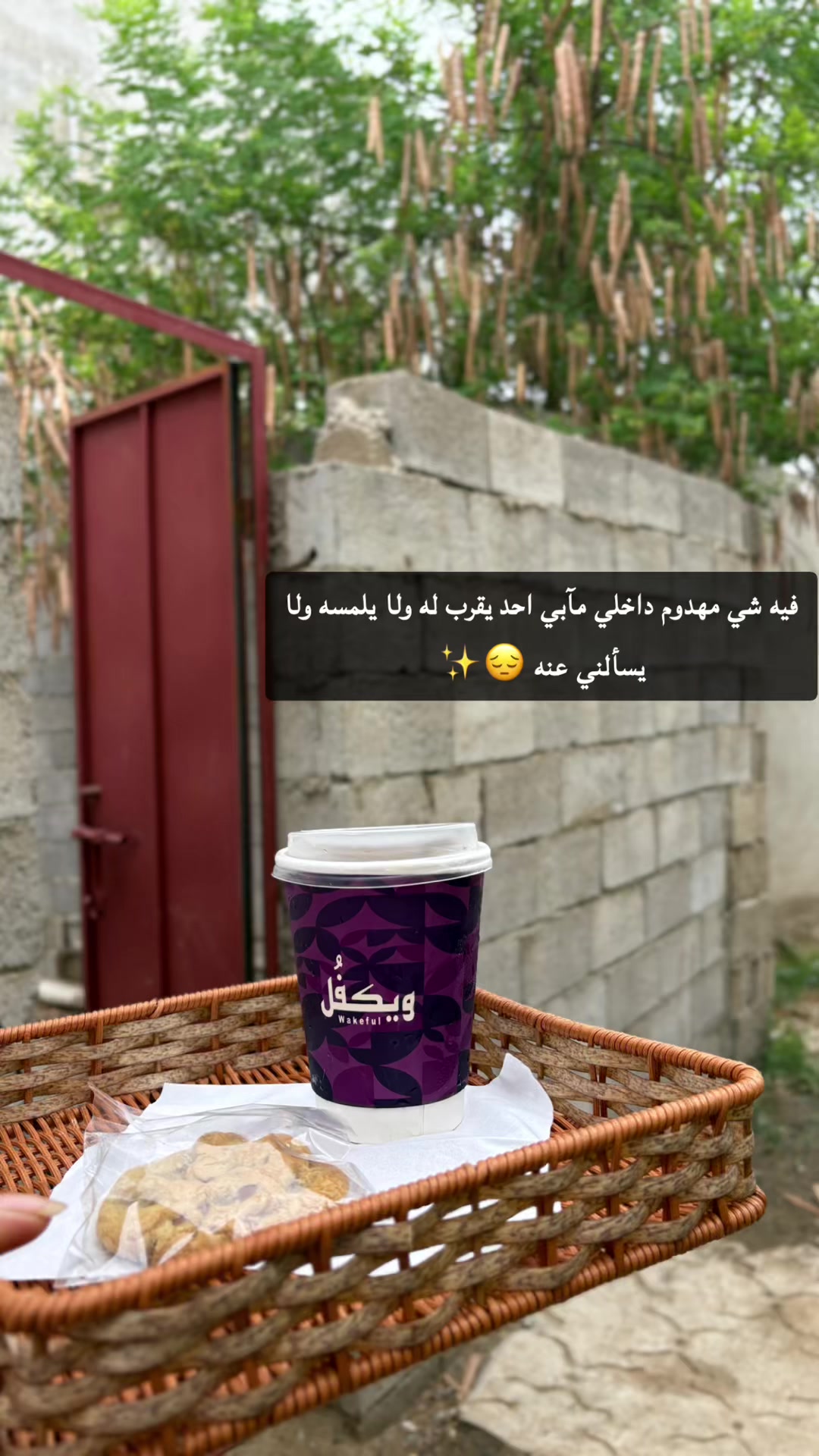 @عقيله هتان