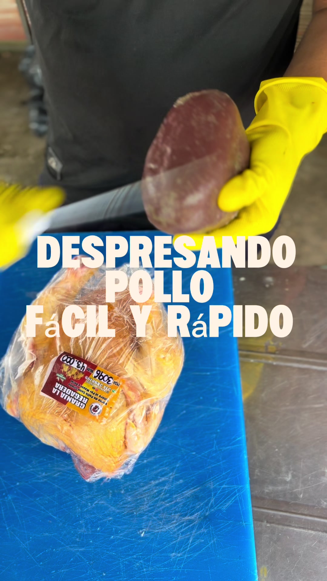 @elmagnatedelospollos