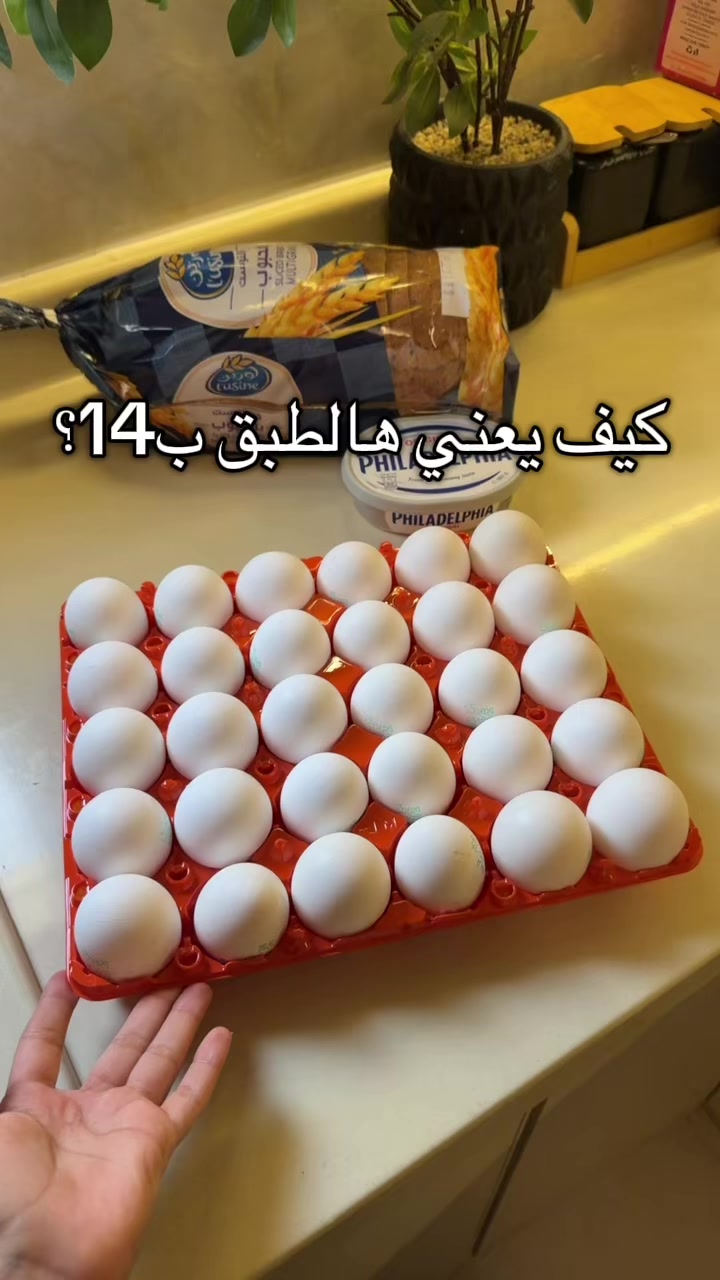@ديانا/صباح 💛