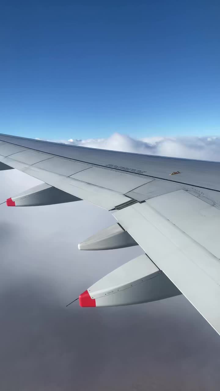 @drako.uzrap