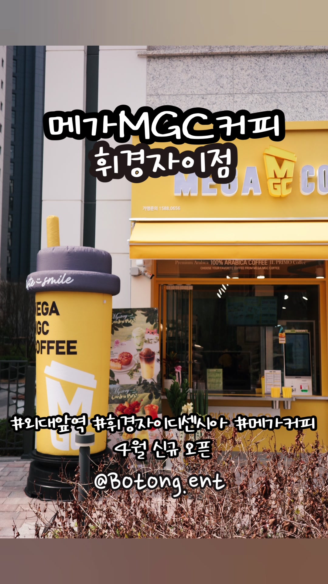 @botong.ent