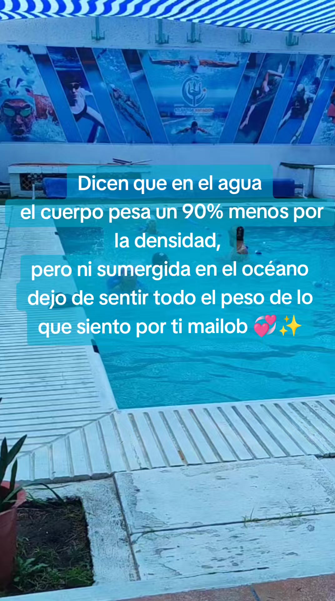 @Miss Mimi