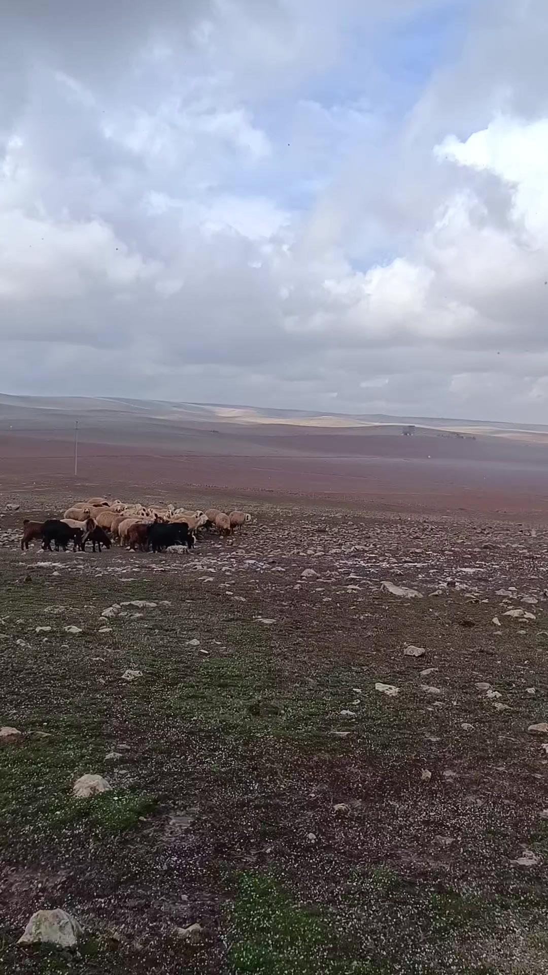 @Erdem akyavuz 2