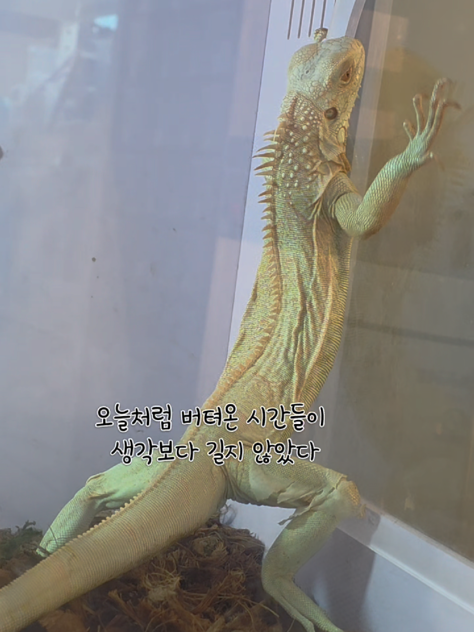 @황여사