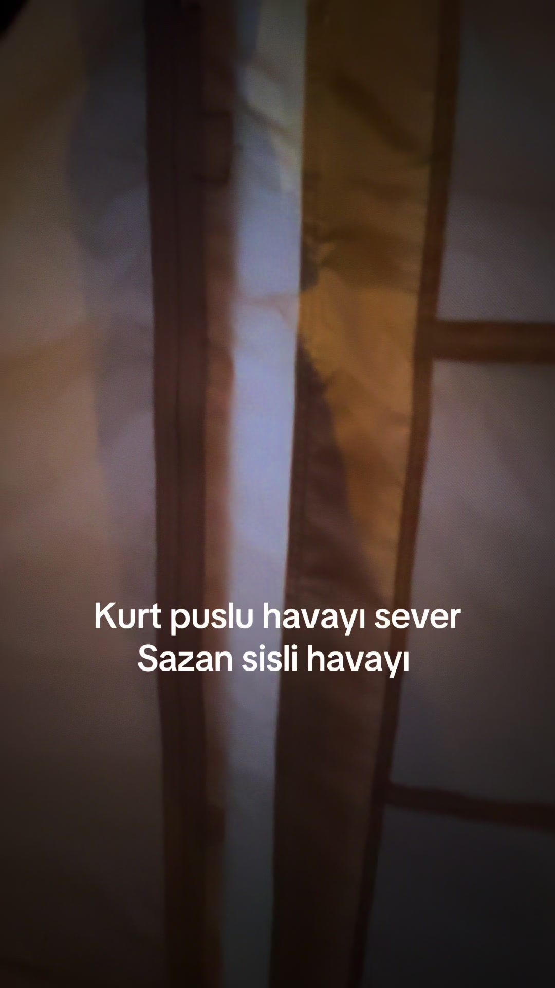 @🏕️Kamp&ccedil;ı - Balıkcı🐟