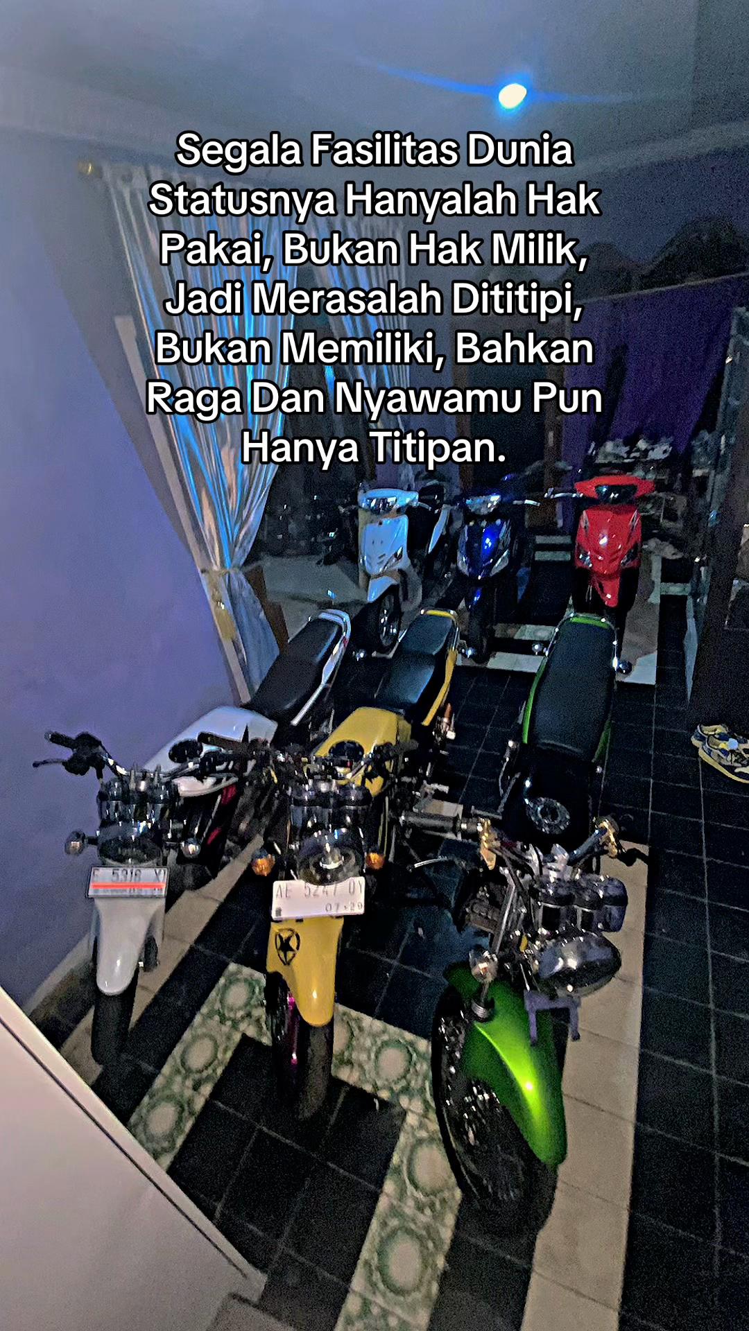 @Andy StreetJaya