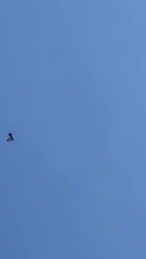 @d&ouml;nek_g&uuml;vercin_