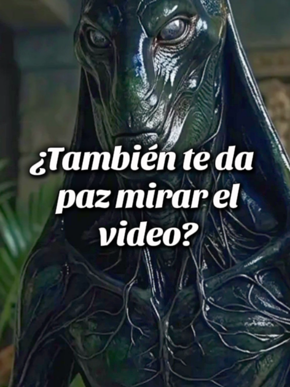 @Laura de los Perros
