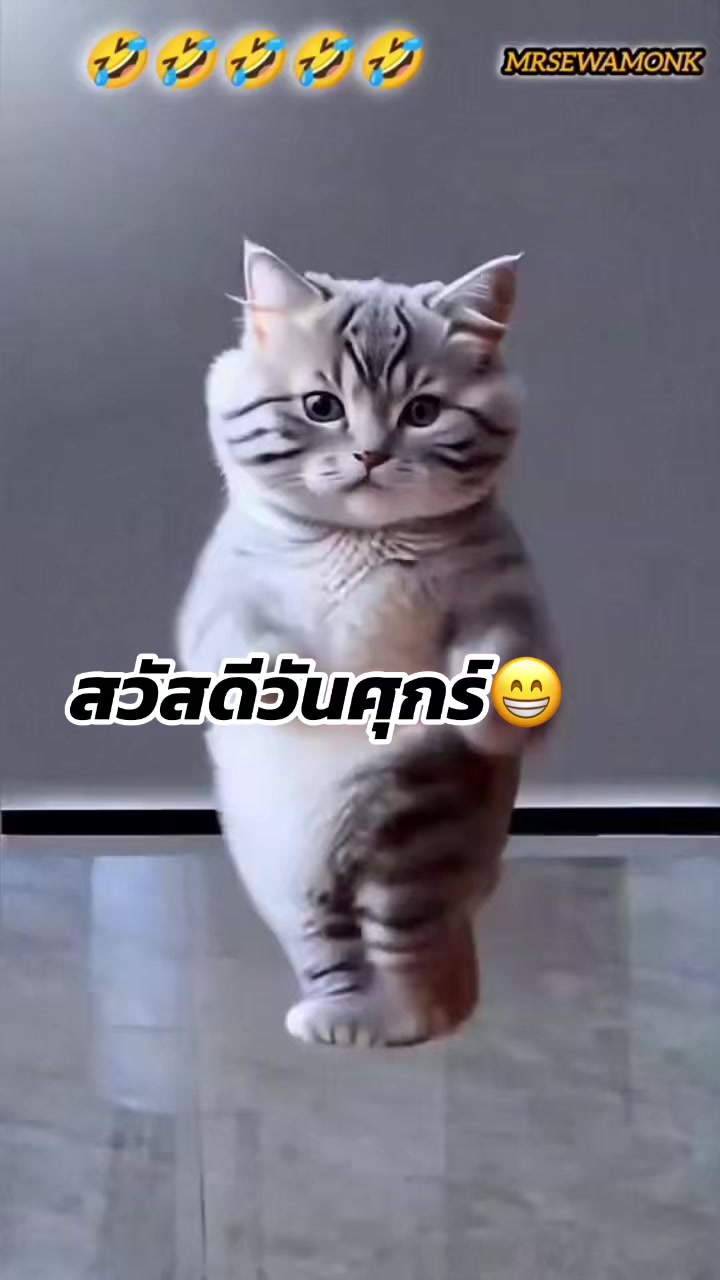 @ราม คนในมุมมืด