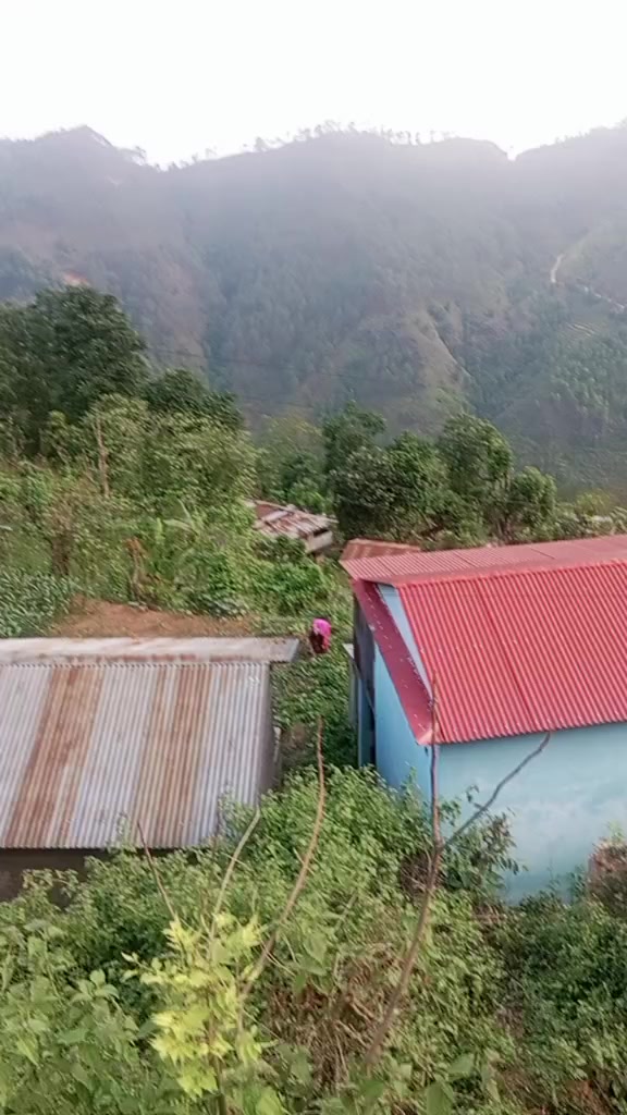 @Ashok Timsina