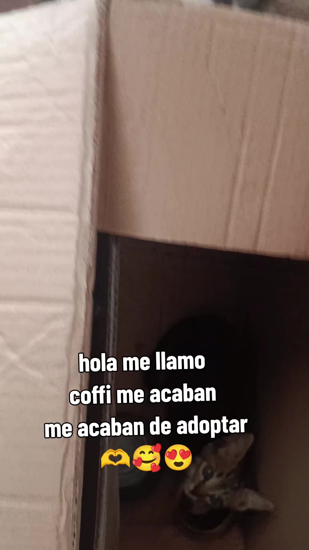 @Raulitosiquesi
