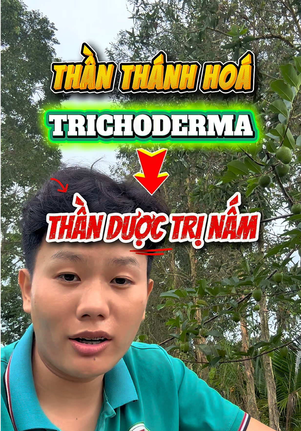 @Hộ Kinh Doanh H&agrave;o - Hưng