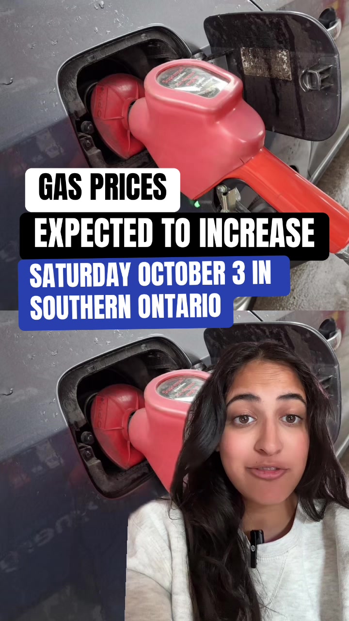 @insauga
