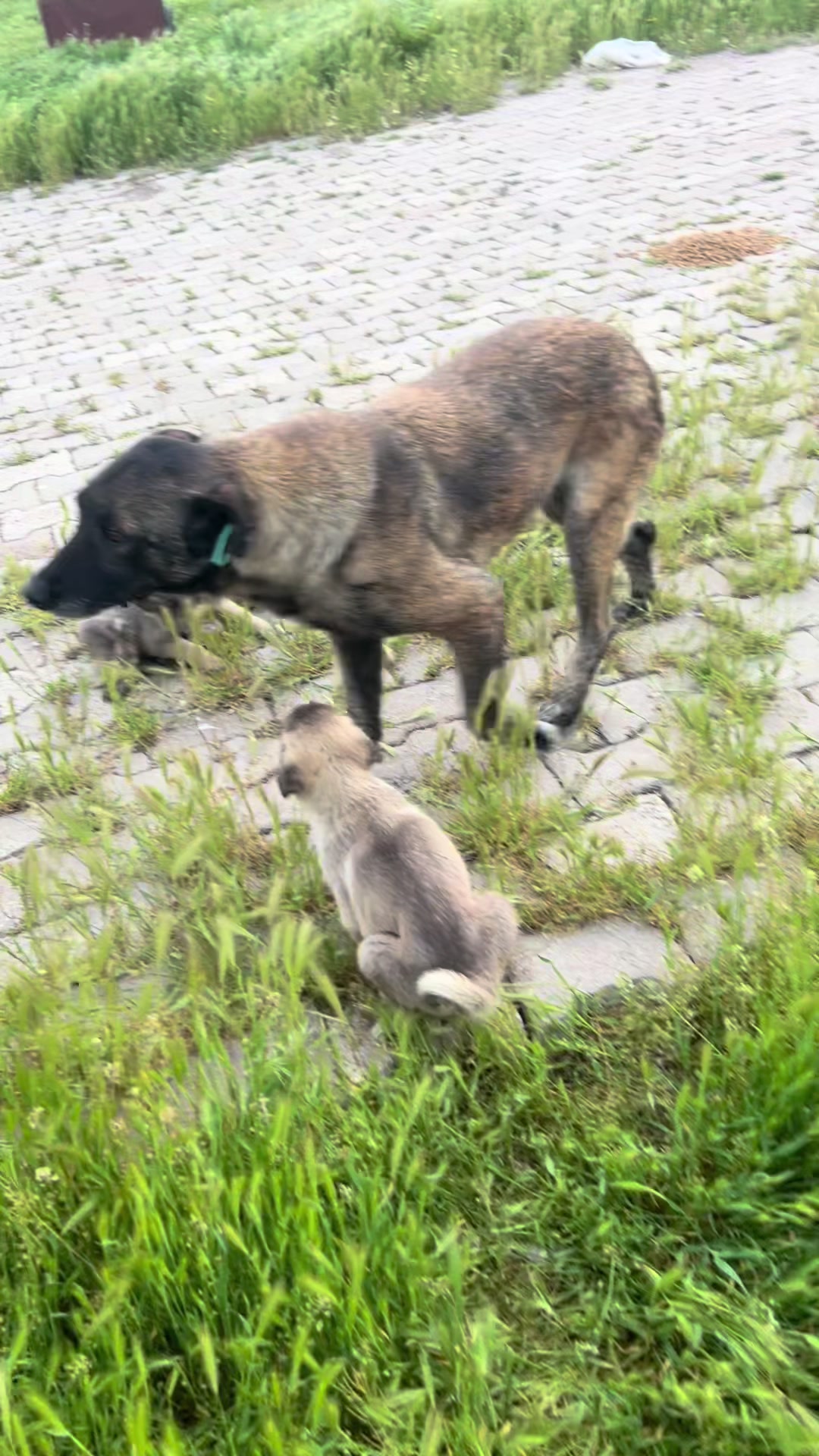 @Selenay Aktaş