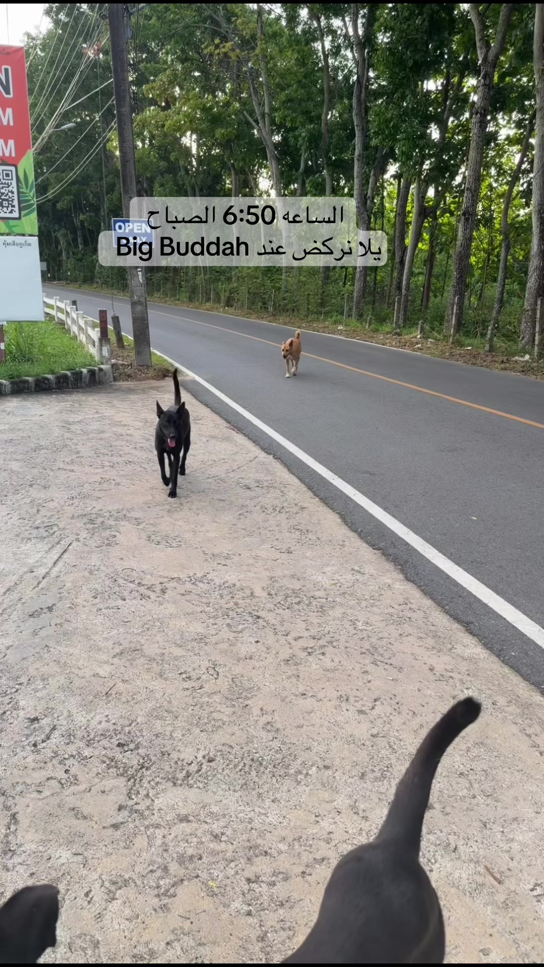 @هتان السيف