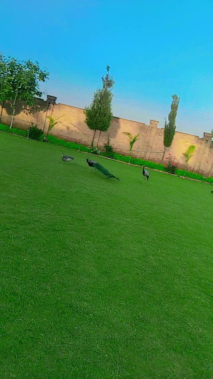 @🔥{NaصiR_Khaن}🔥