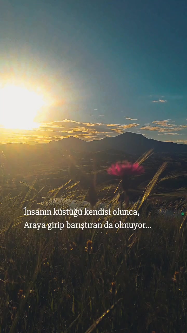 @ミ★ Ne&Ccedil;E🍁 ZOZAN ★彡