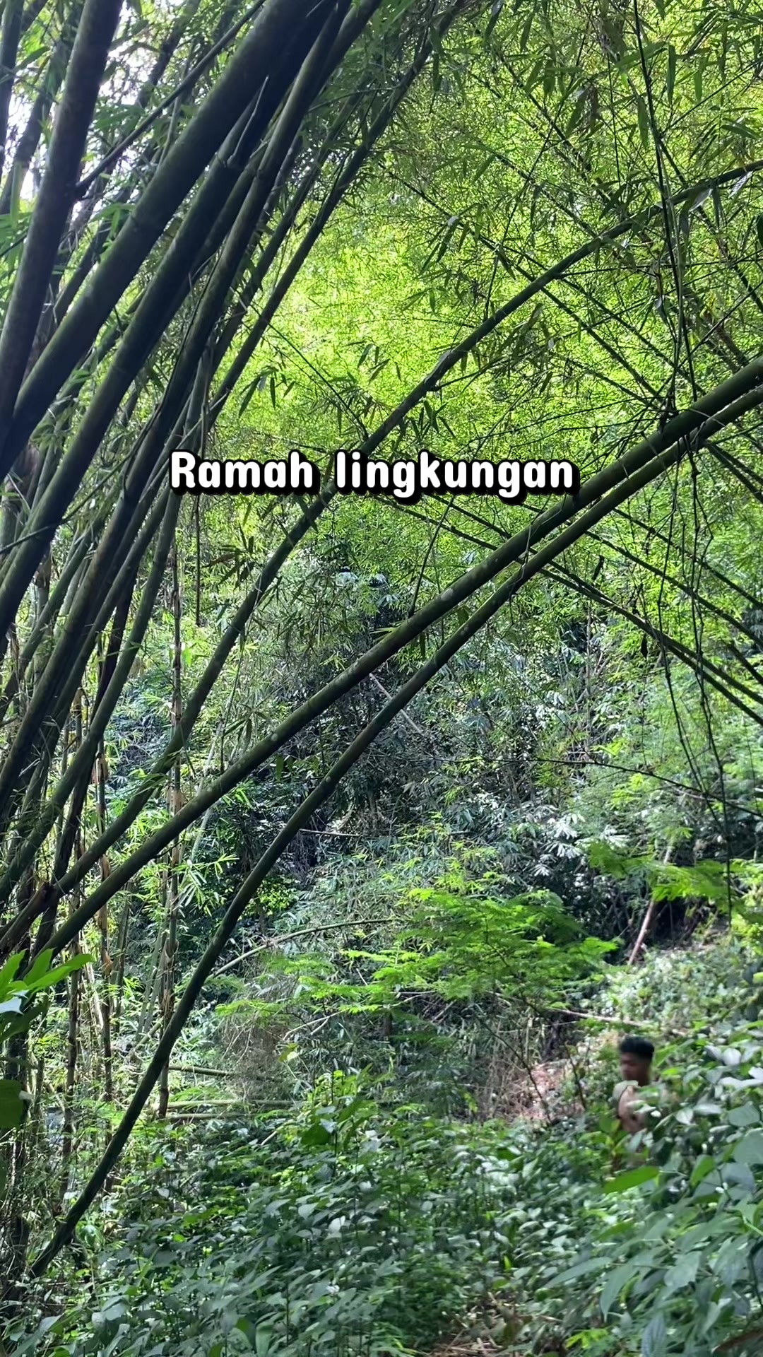 @kang ajun