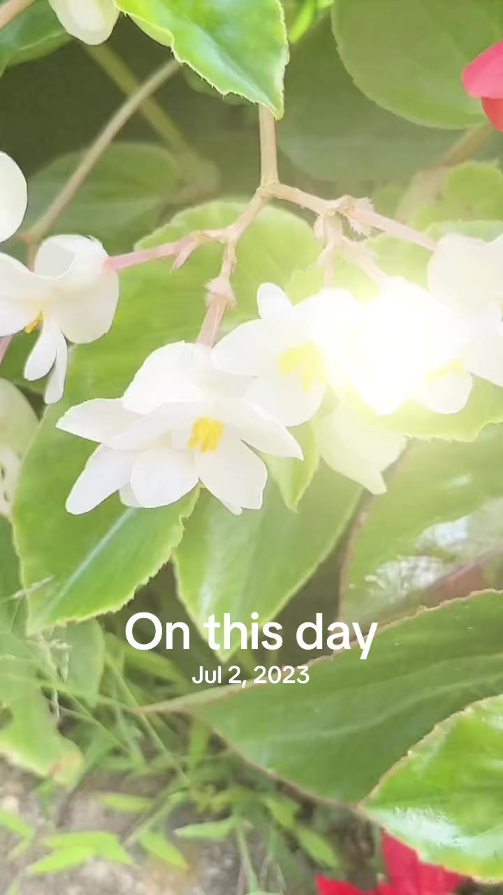 @Slow-moqueenInJapan🇯🇵🤭