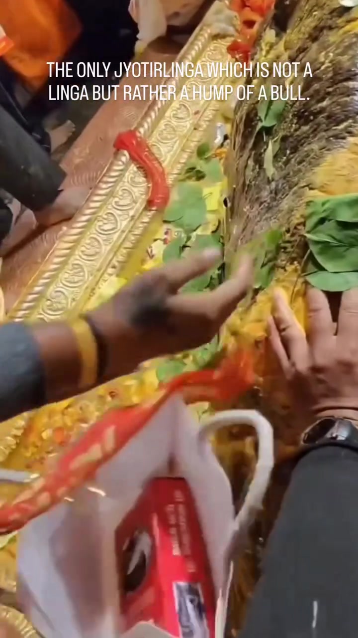 @🕉️ Om Namasivaya 🕉️